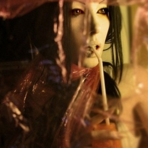 Meet your Posher, Ava - Picture 3 of 12